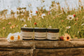 Tallow Lotion